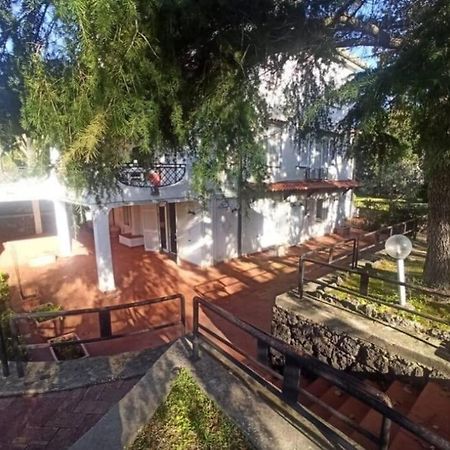 Villa Lia - Ischia Porto Exterior photo