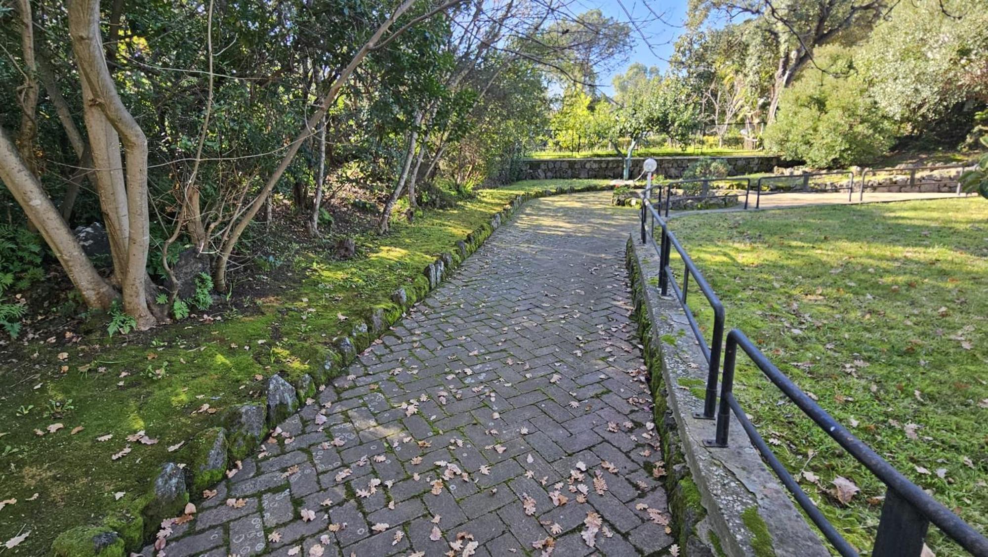 Villa Lia - Ischia Porto Exterior photo